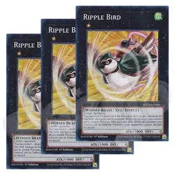 Yugioh - Ripple Bird x 3 - 1st Edition Super Rare NM - Free Holo Card - Image 1