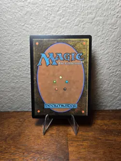 Starnheim Aspirant Jumpstart 2022 Regular - Image 2