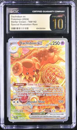 Pokemon Dachsbun ex Stellar Crown Special Illustration Rare #169 CGC 10 Pristine - Image 1