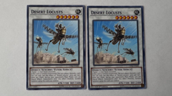 Desert Locusts - CHIM-EN082 - Common - 1st/Unlimited Edition NM YuGiOh! X2 - Image 1