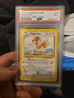 Pokemon TCG Pidgeotto Base Set 22/102 - Image 1