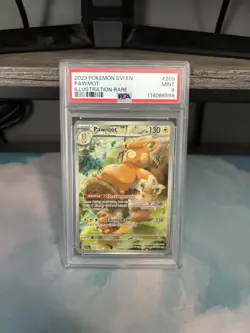 Pokemon Pawmot TCG Illustration Rare Card 209/198 Scarlet & Violet Base Set PSA9 - Image 1