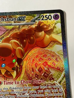 Pokemon TCG Dachsbun EX 169/142 Special Illustration Rare Full Art Stellar Crown - Image 5