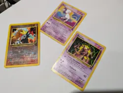 Pokemon TCG 250 Card Lot 8/8 Sealed Winter Advent 2025 Stamp, Vintage, Holos, EX - Image 2