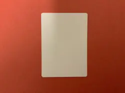 MTG Magic Momir Vig,Simic Visionary Sign Artist Proof Dissension Boros Szikszai - Image 2