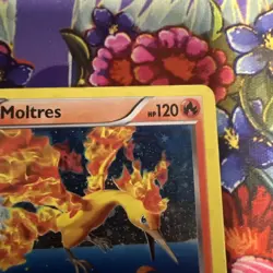 Pokemon TCG Moltres BW Next Destinies 14/99 Cosmos Holo Rare Promo Card EX - Image 3