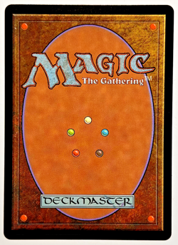 MTG Innkeeper's Talent Bloomburrow Regular MINT - Image 2