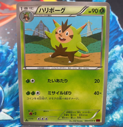 Quilladin Common Japanese Pokemon Card 1st Edition XY8 Red Flash 004/059 NM - Image 1