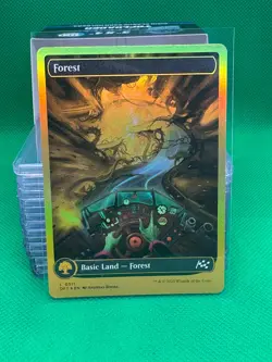 MTG - Forest (511) (DFT) FOIL - Image 1