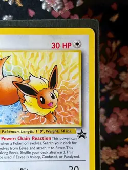 Eevee 11 Black Star JR Promo English Promo Rare Japanese Pokemon Card [Excellent - Image 4