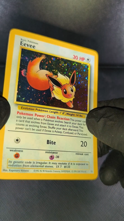 Eevee - Promo 11 - Black Star Promo - Holo Promo - Pokemon Card - Image 2
