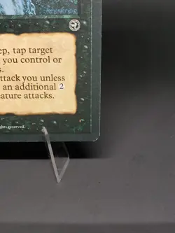 Koskun Falls Homelands Regular MP - Image 5