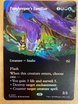 MTG 1x FOIL BORDERLESS Fangkeeper's Familiar 357 Tarkir: Dragonstorm Magic x1 NM - Image 1