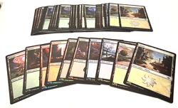Mtg Otj Foil Basic Land Set (50 lands - 10 of each) - Image 1