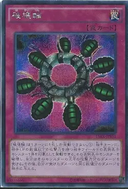 Yugioh Card 15AX-JPY51 Ring of Destruction | Secret Japanese - Image 1