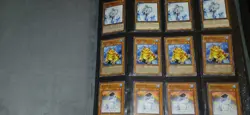Yugioh Card Collection See Photos For All Cards Included Binder Not Included - Image 1