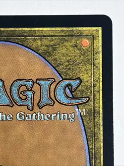 MTG Foundations M Doubling Season #0216 Magic The Gathering - Image 4