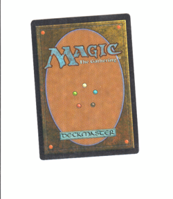 Femeref Enchantress *Visions* MTG Magic the Gathering - Image 2