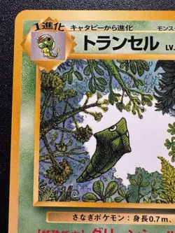 Japanese Metapod Quick Starter Gift Set Green No Rarity Pokemon Card Rare NM - Image 3