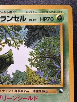 Japanese Metapod Quick Starter Gift Set Green No Rarity Pokemon Card Rare NM - Image 4