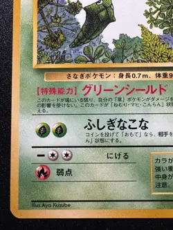 Japanese Metapod Quick Starter Gift Set Green No Rarity Pokemon Card Rare NM - Image 5