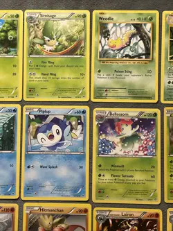 Pokemon Cards Lot 2014-2018 Evolutions Team Magma + More MP - Image 3