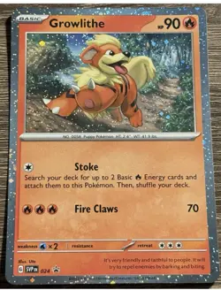 (12) Pokemon Card Growlithe 024 Black Star Promo Cosmo Holo Near Mint - Image 1