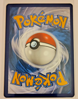 Mudkip 19/25 McDonald's 25th Anniversary Holo Pokemon Card Promo - Image 3