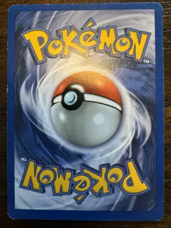 Pidgey + Holo Pidgeot 1999 WOTC Jungle Set Pokemon Card Pair - Image 3