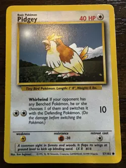 Pidgey + Holo Pidgeot 1999 WOTC Jungle Set Pokemon Card Pair - Image 4