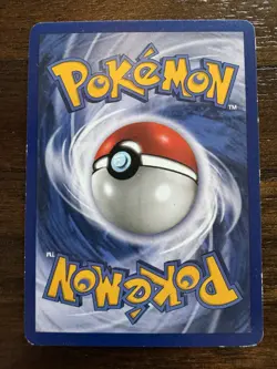 Pidgey + Holo Pidgeot 1999 WOTC Jungle Set Pokemon Card Pair - Image 5