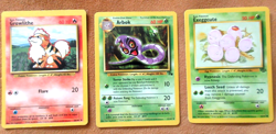 Lot of Pokemon Cards (12)- Energy Cards (88)- Trainer Cards(48)- 148 total cards - Image 4