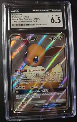 Pokemon (2020) Black Star Promos- SM242 Tag Team Powers Coll. - Image 1