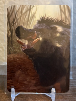 Sorcery: Contested Realm - Arthurian Legends - Grand Old Boar Foil NM - Image 2