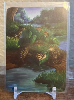 Sorcery Contested Realms - Beta - Tufted Turtles Foil NM - Image 2