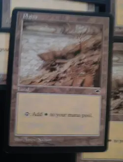 7X MTG Plains VINTAGE 1990s Land white- Seven CARDS Free Shipping - Image 2