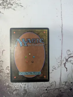 Lotus Vale Weatherlight Regular - Image 2