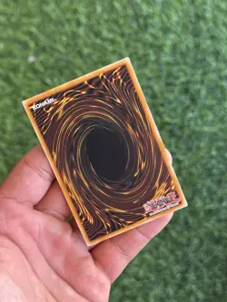 Yugioh Dracotail Phryxul DOOD-EN023 Secret Rare 1st Edition NM - Image 3