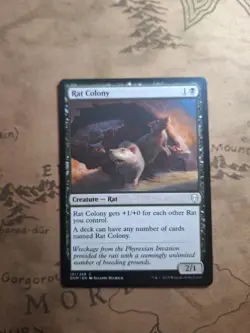 Rat Colony Dominaria Regular - Image 2