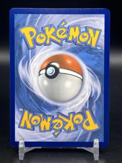 Charizard V SWSH260 SWSH: Sword & Shield Promo Cards Holo English NM - Image 2