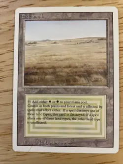 Magic the Gathering Savannah Revised Edition Rare Dual Land - Image 1