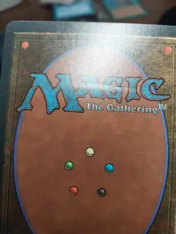 1x Koskun Falls - *Damaged see pic* - Homelands - mtg - SPARROW MAGIC - Image 3