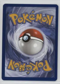 Pikachu (Paldea Adventure Chest) Holo Pokemon Scarlet & Violet Black Star Promo - Image 2