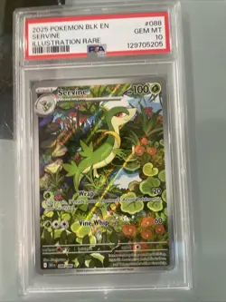 Pokemon TCG Servine 088/086 Illustration Rare Black Bolt PSA 10 - Image 1