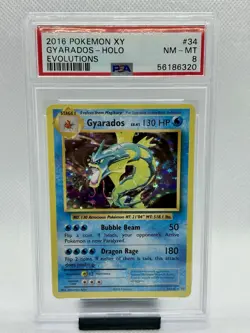 PSA 8 Pokemon Gyarados 34/108 XY Evolutions Holo Rare - Image 1