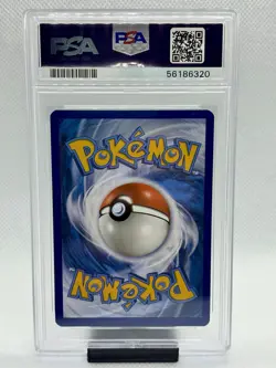 PSA 8 Pokemon Gyarados 34/108 XY Evolutions Holo Rare - Image 2