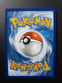 Charizard V SWSH050 SWSH: Sword & Shield Promo Cards Holo - Image 3
