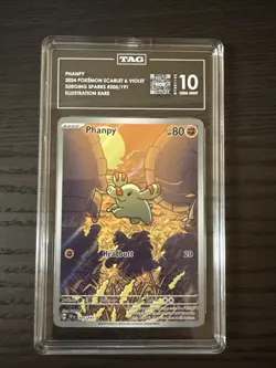 2024 Pokemon Phanpy 205/191 Illustration Rare SV Surging Sparks TAG 10 Gem Mint - Image 1