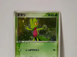 Pokemon Card 2003 x1 Treecko Promo Holo Construct. Starter Deck Japanese Limited - Image 3