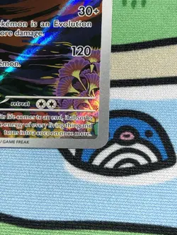 Yveltal 205/182 SV04: Pokemon TCG Paradox Rift Holo Near Mint SHIPS FAST - Image 3